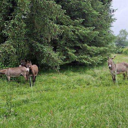 Maison Du Bonheur Gan Szoba fotó