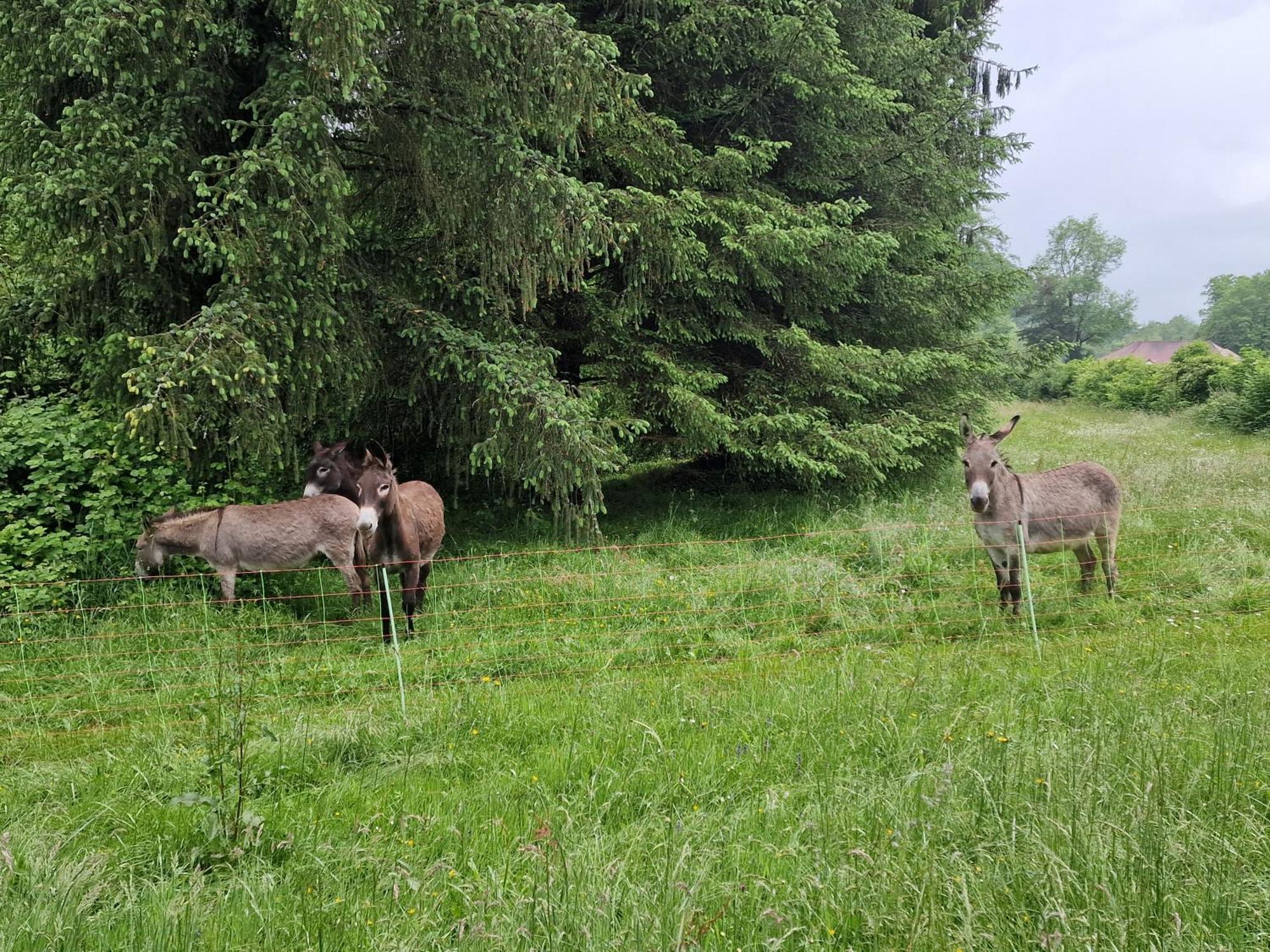 Maison Du Bonheur Gan Szoba fotó